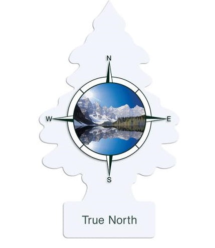 Little Trees Extra True North Scented - 24 Pack