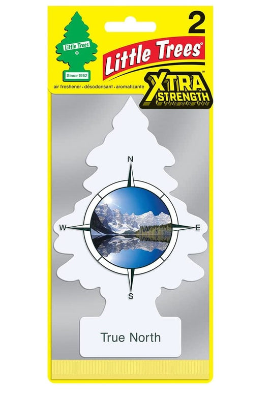 Little Trees Extra True North Scented - 24 Pack